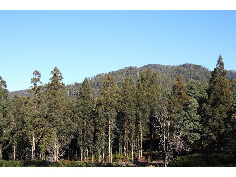 2 Lots off Bakers Creek Road, Lucaston TAS 7109