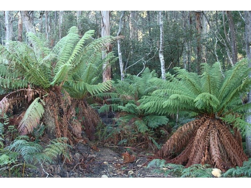 2 Lots off Bakers Creek Road, Lucaston TAS 7109