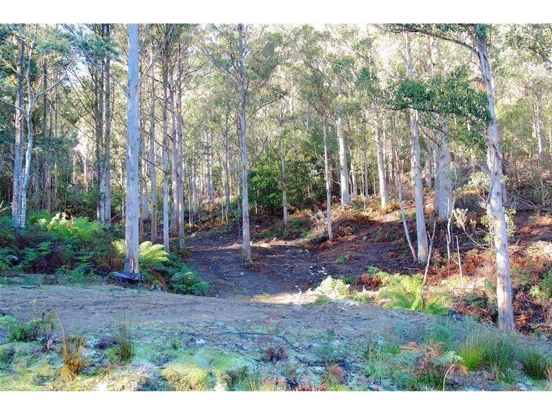 2 Lots off Bakers Creek Road, Lucaston TAS 7109