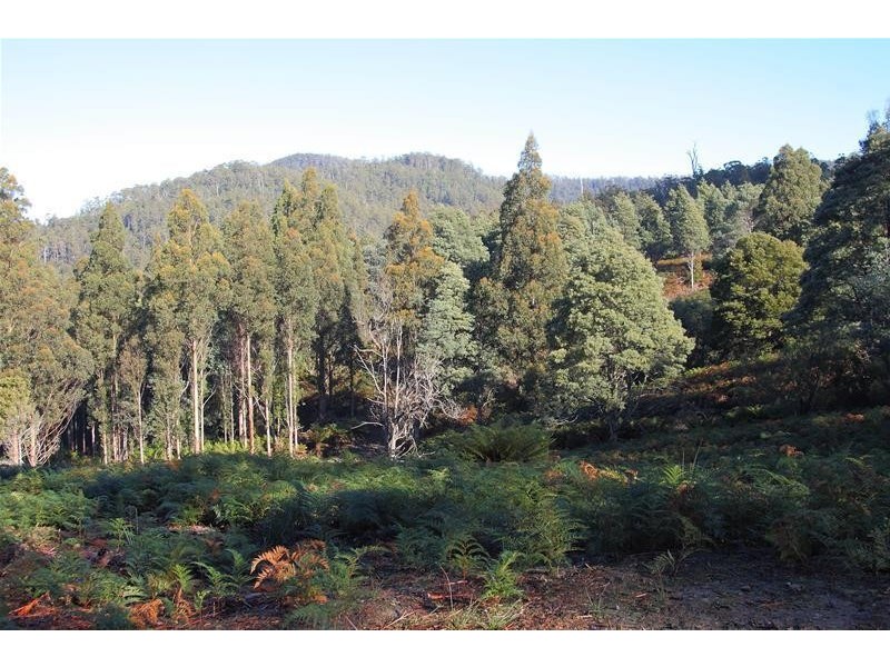 2 Lots off Bakers Creek Road, Lucaston TAS 7109