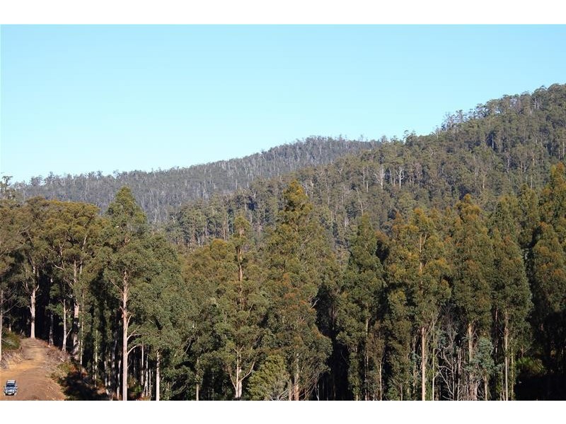 2 Lots off Bakers Creek Road, Lucaston TAS 7109