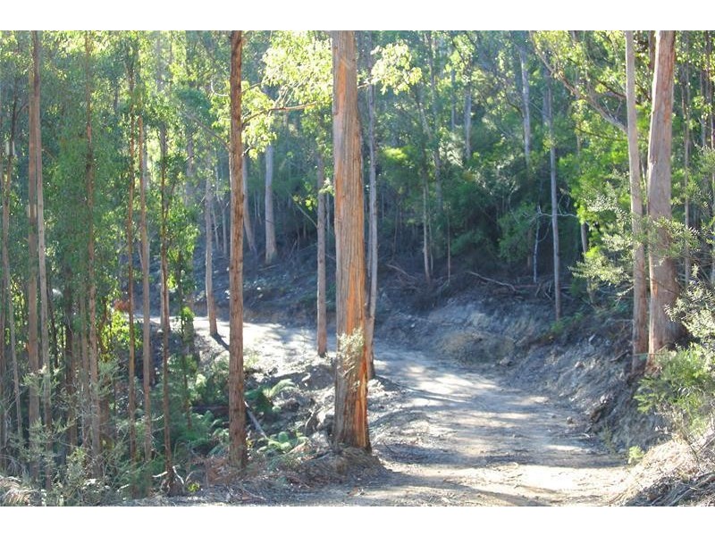 2 Lots off Bakers Creek Road, Lucaston TAS 7109