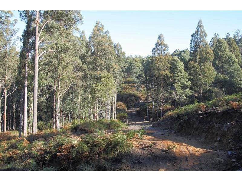 2 Lots off Bakers Creek Road, Lucaston TAS 7109