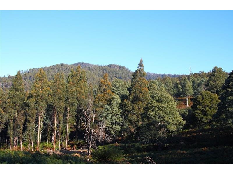 2 Lots off Bakers Creek Road, Lucaston TAS 7109