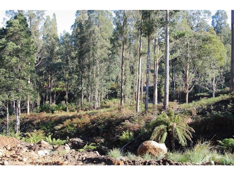 2 Lots off Bakers Creek Road, Lucaston TAS 7109