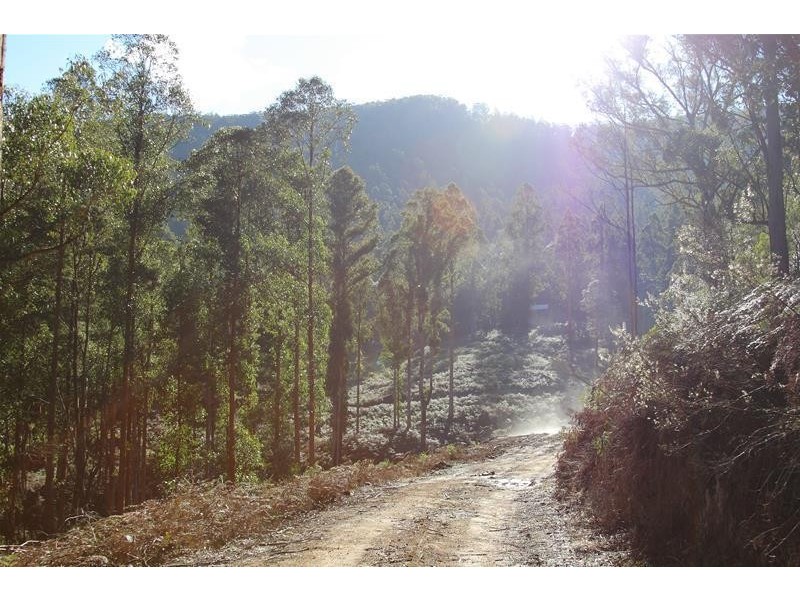 2 Lots off Bakers Creek Road, Lucaston TAS 7109