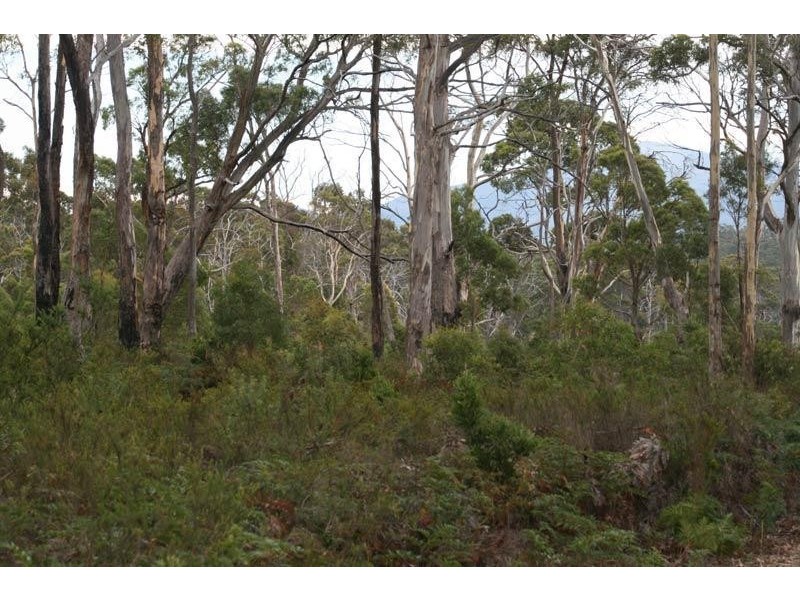 6 Lots Ida Bay Road, Ida Bay TAS 7109