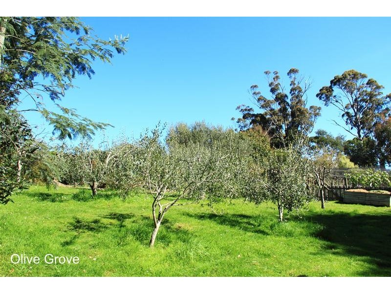 215 Sandhill Road, Cygnet TAS 7112