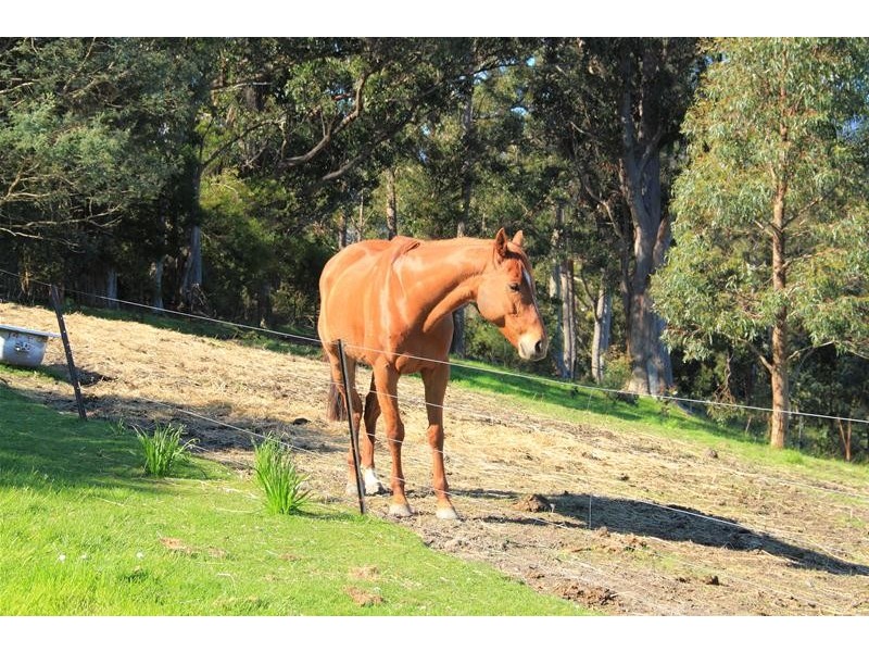 215 Sandhill Road, Cygnet TAS 7112