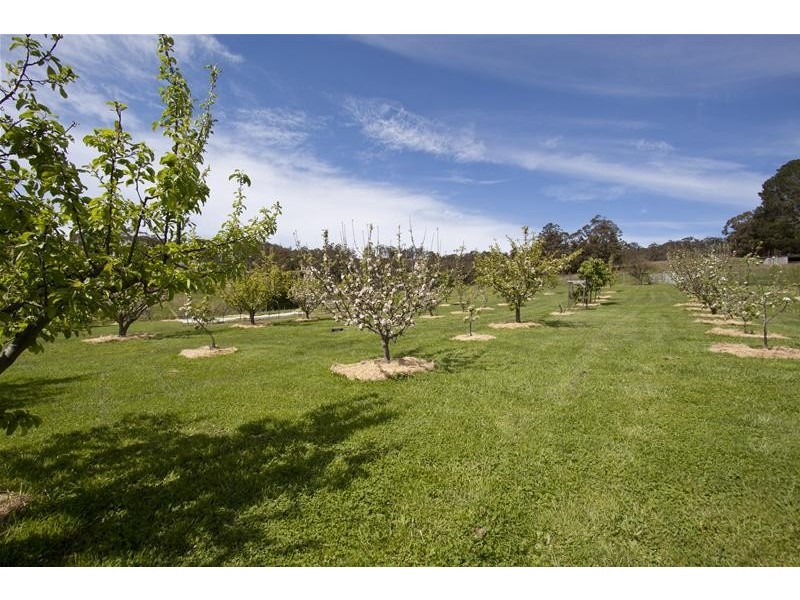 573 Wattle Grove Road, Wattle Grove TAS 7109