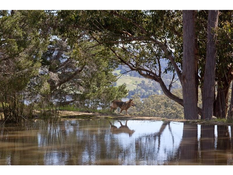 573 Wattle Grove Road, Wattle Grove TAS 7109