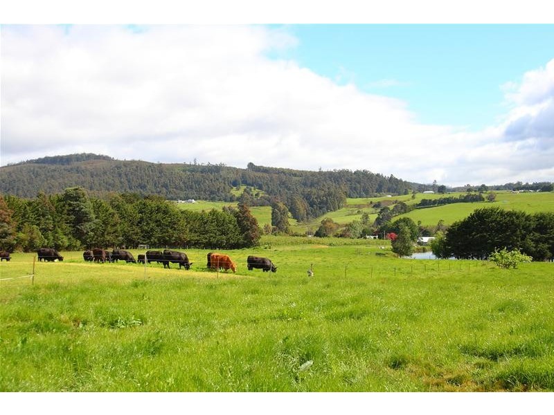 281 Arve Road, Geeveston TAS 7116