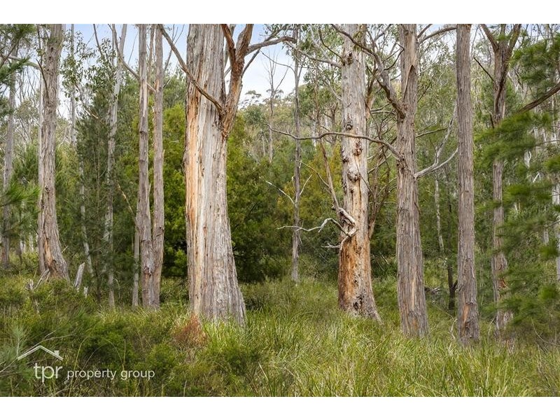 75 Benders Road, Huonville TAS 7109