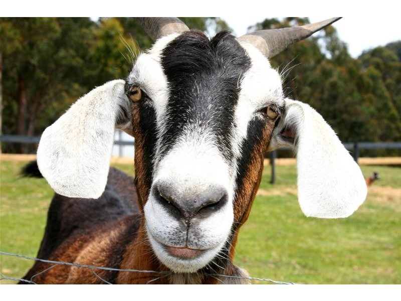 67 Costains Road, Geeveston TAS 7116