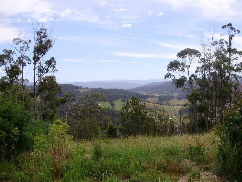 LOT 1 Kings Hill Road, Cygnet TAS 7112