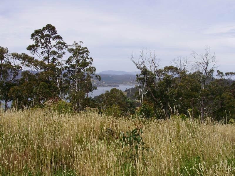 LOT 1 Kings Hill Road, Cygnet TAS 7112