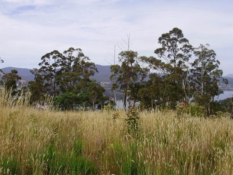 LOT 1 Kings Hill Road, Cygnet TAS 7112