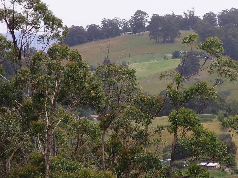 LOT 1 Kings Hill Road, Cygnet TAS 7112