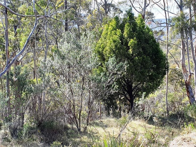 6150 Channel Highway, Garden Island Creek TAS 7112