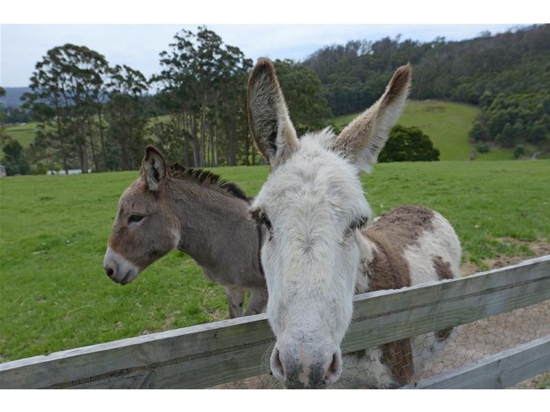 89 Graces Road, Glaziers Bay TAS 7109