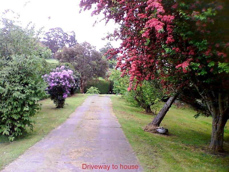 11 Guys Road, Cygnet TAS 7112