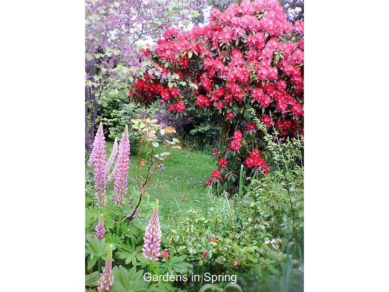 11 Guys Road, Cygnet TAS 7112