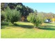 28 Mountain River Road, Grove TAS 7109