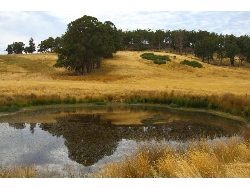 203 Cross Road, Lucaston TAS 7109