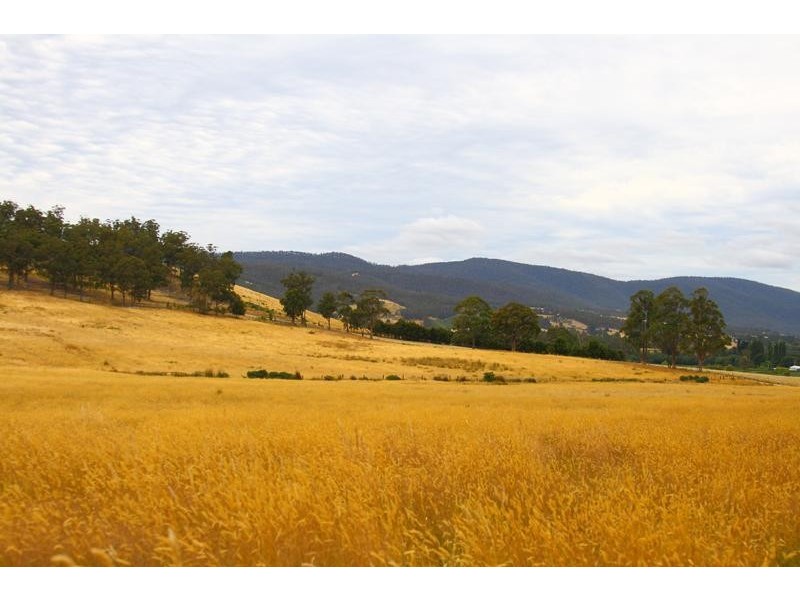 203 Cross Road, Lucaston TAS 7109