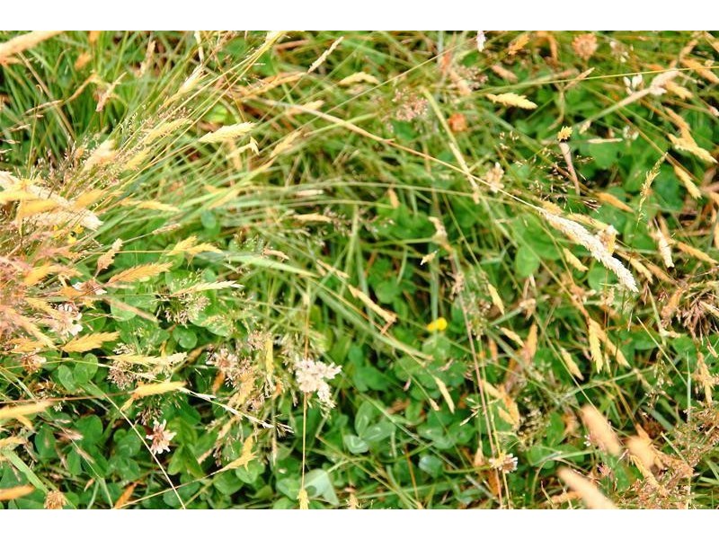 203 Cross Road, Lucaston TAS 7109