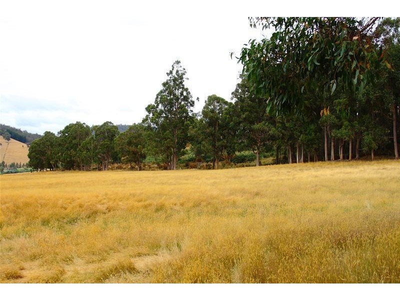 203 Cross Road, Lucaston TAS 7109