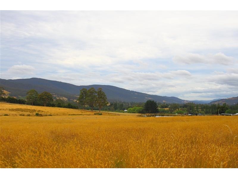 203 Cross Road, Lucaston TAS 7109