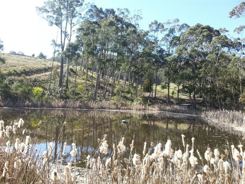 1/78 Walters Road, Wattle Grove TAS 7109