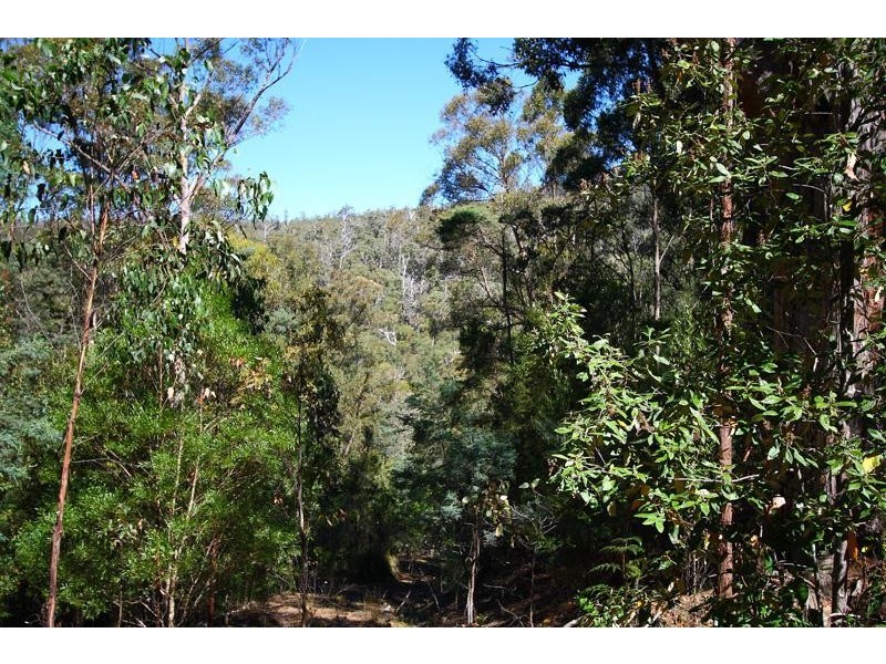 2 Lucas Road, Lucaston TAS 7109