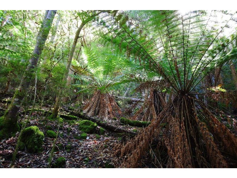 2 Lucas Road, Lucaston TAS 7109