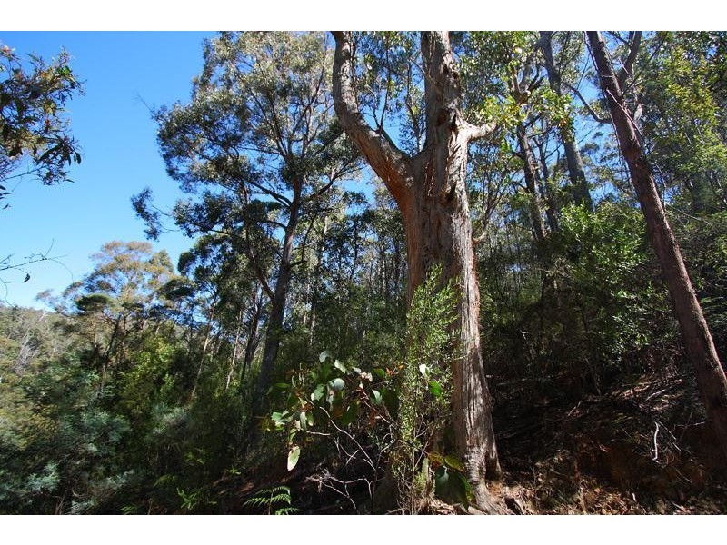 2 Lucas Road, Lucaston TAS 7109