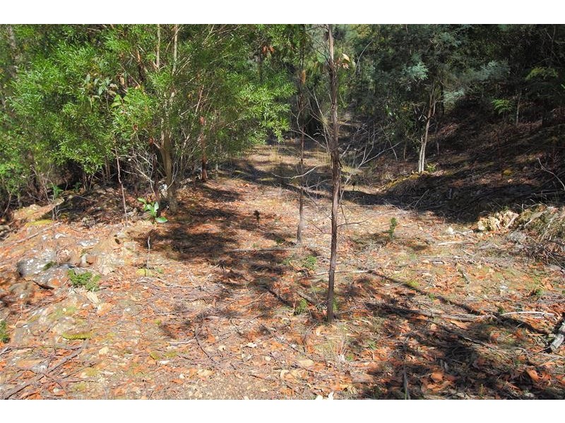 2 Lucas Road, Lucaston TAS 7109