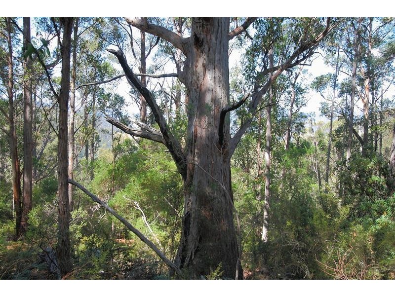 2 Lucas Road, Lucaston TAS 7109