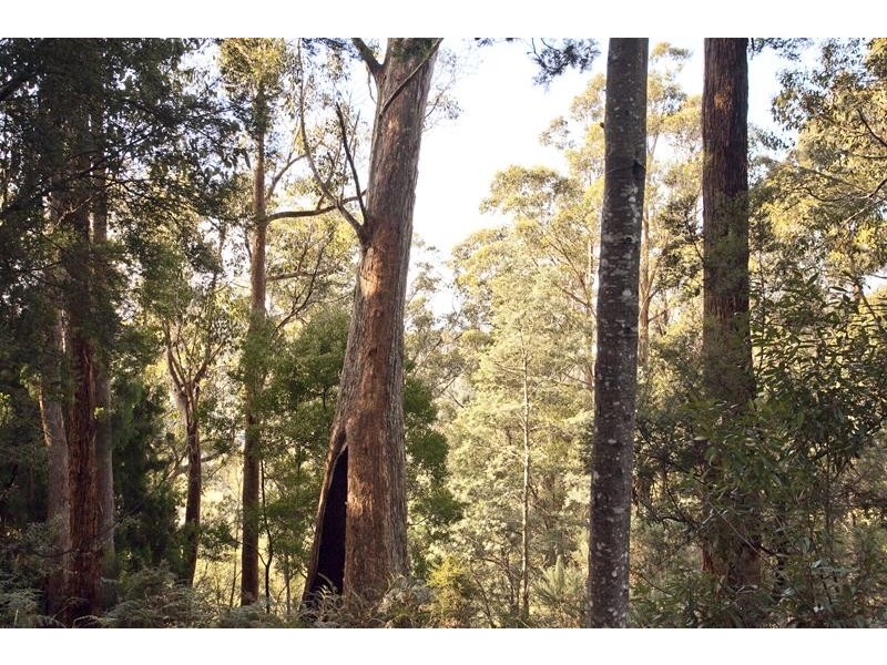 62 Clarks Road, Glendevie TAS 7109