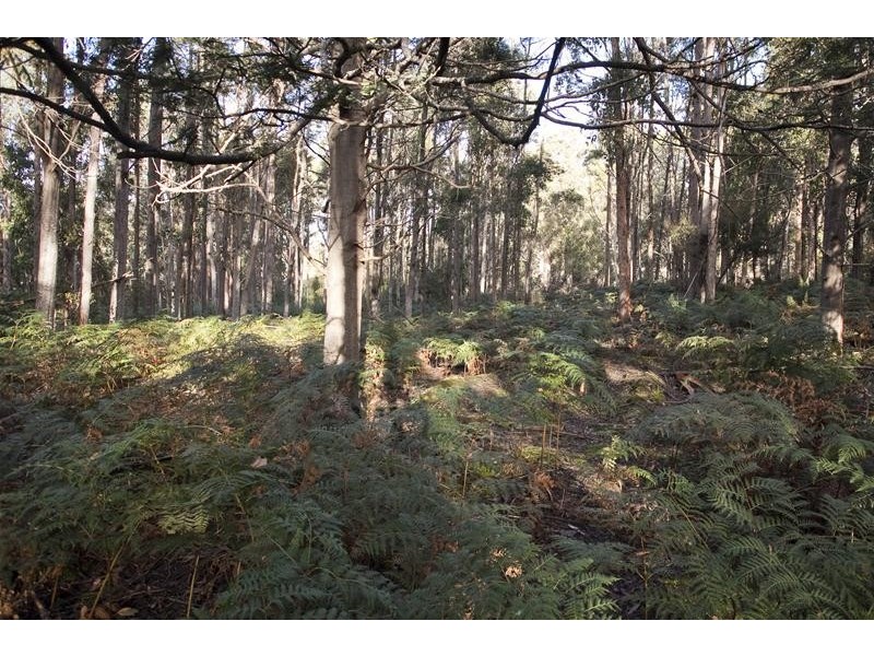 62 Clarks Road, Glendevie TAS 7109