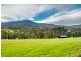 240 Sheoak Road, Judbury TAS 7109