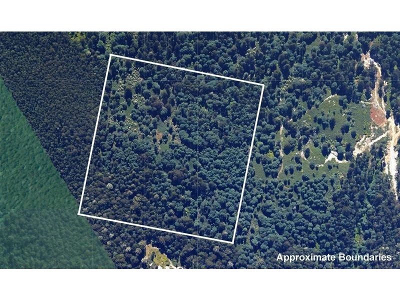 244027/1 Off Bakers Creek Road, Lucaston TAS 7109