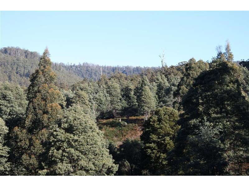 244027/1 Off Bakers Creek Road, Lucaston TAS 7109