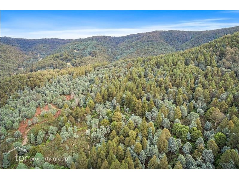 244027/1 Off Bakers Creek Road, Lucaston TAS 7109