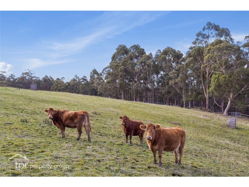 150 Morrisons Road, Huonville TAS 7109