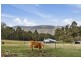 150 Morrisons Road, Huonville TAS 7109