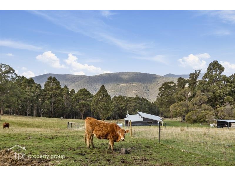150 Morrisons Road, Huonville TAS 7109