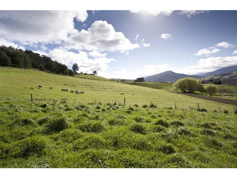 26 New Road, Franklin TAS 7113