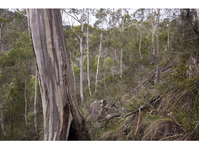 1557 Pelverata Road, Pelverata TAS 7150