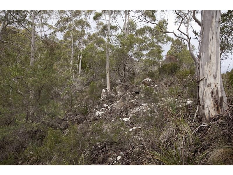 1557 Pelverata Road, Pelverata TAS 7150